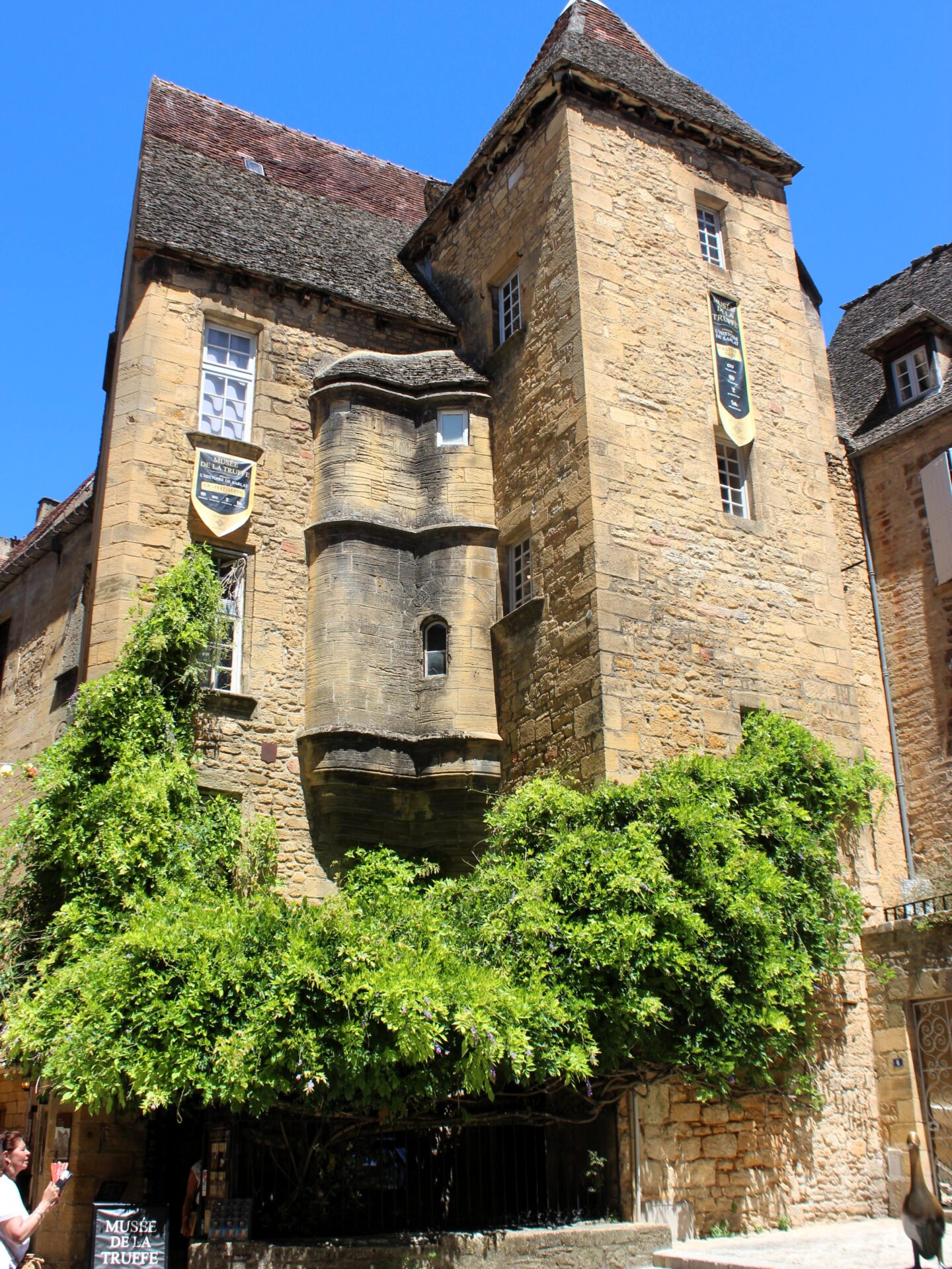 Museo de la Trufa en el Périgord Noir