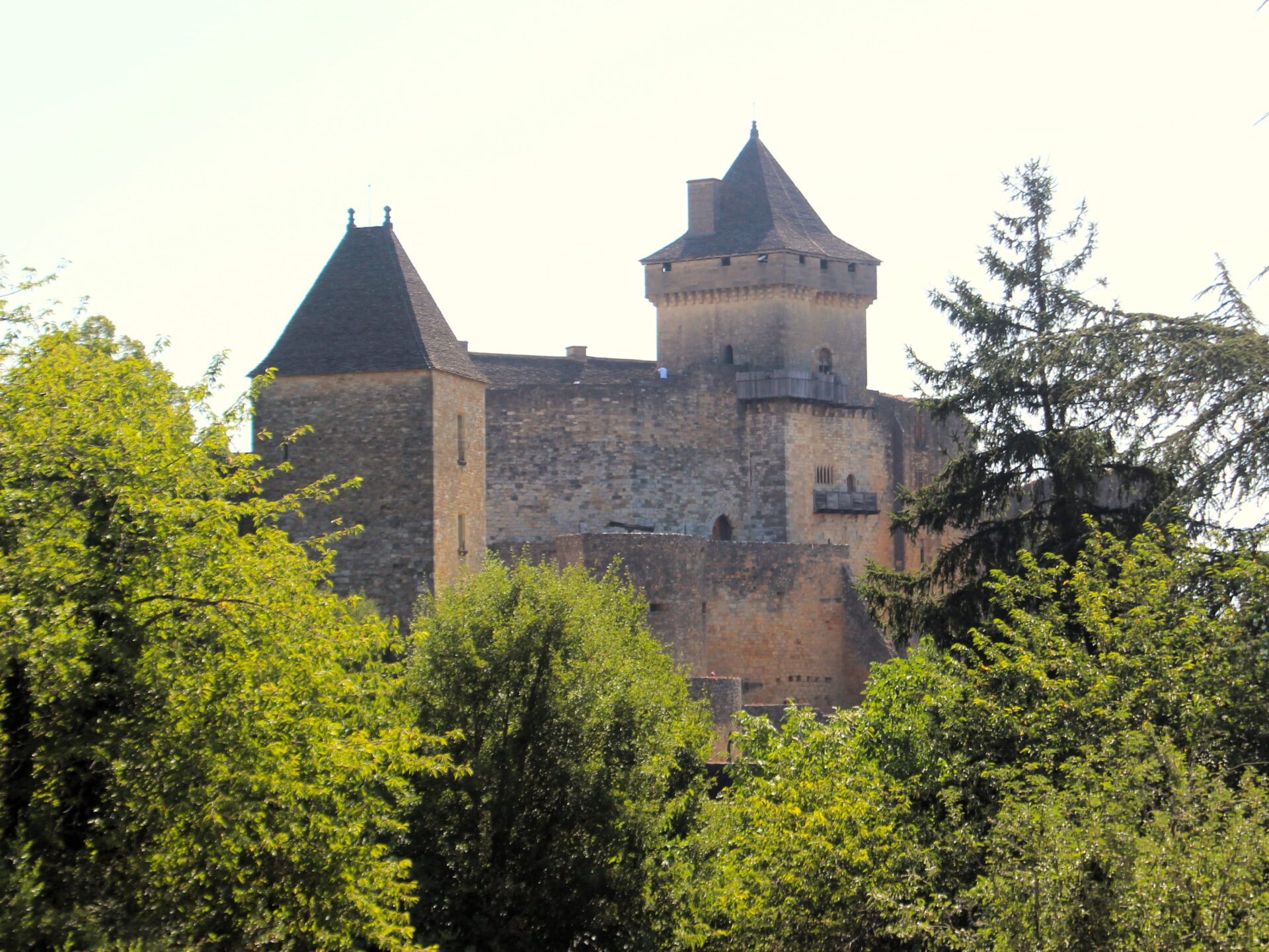 Castillo de Castelnaud-la-Chapelle