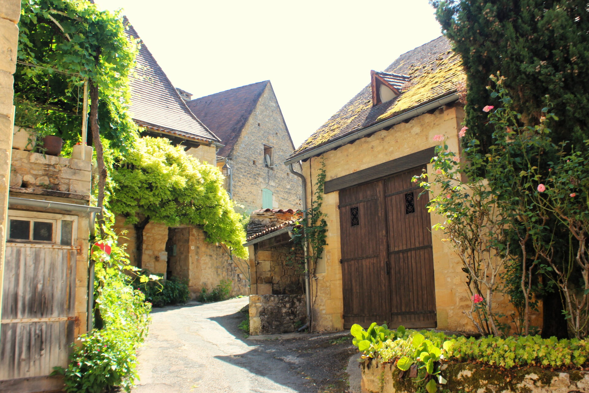 Pueblo medieval Castelnaud-la-Chapelle