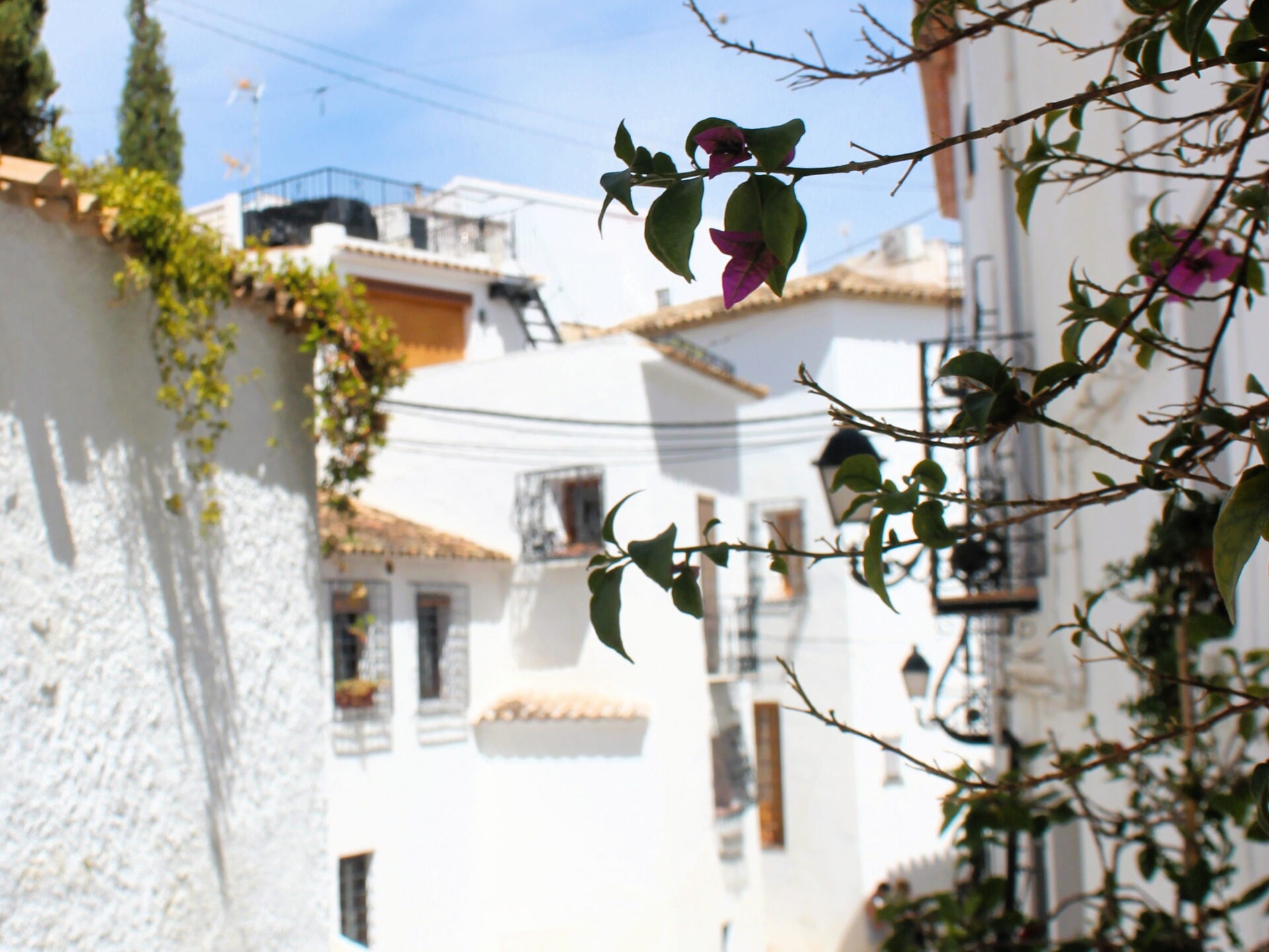Buganvillas en calles blancas mediterráneas