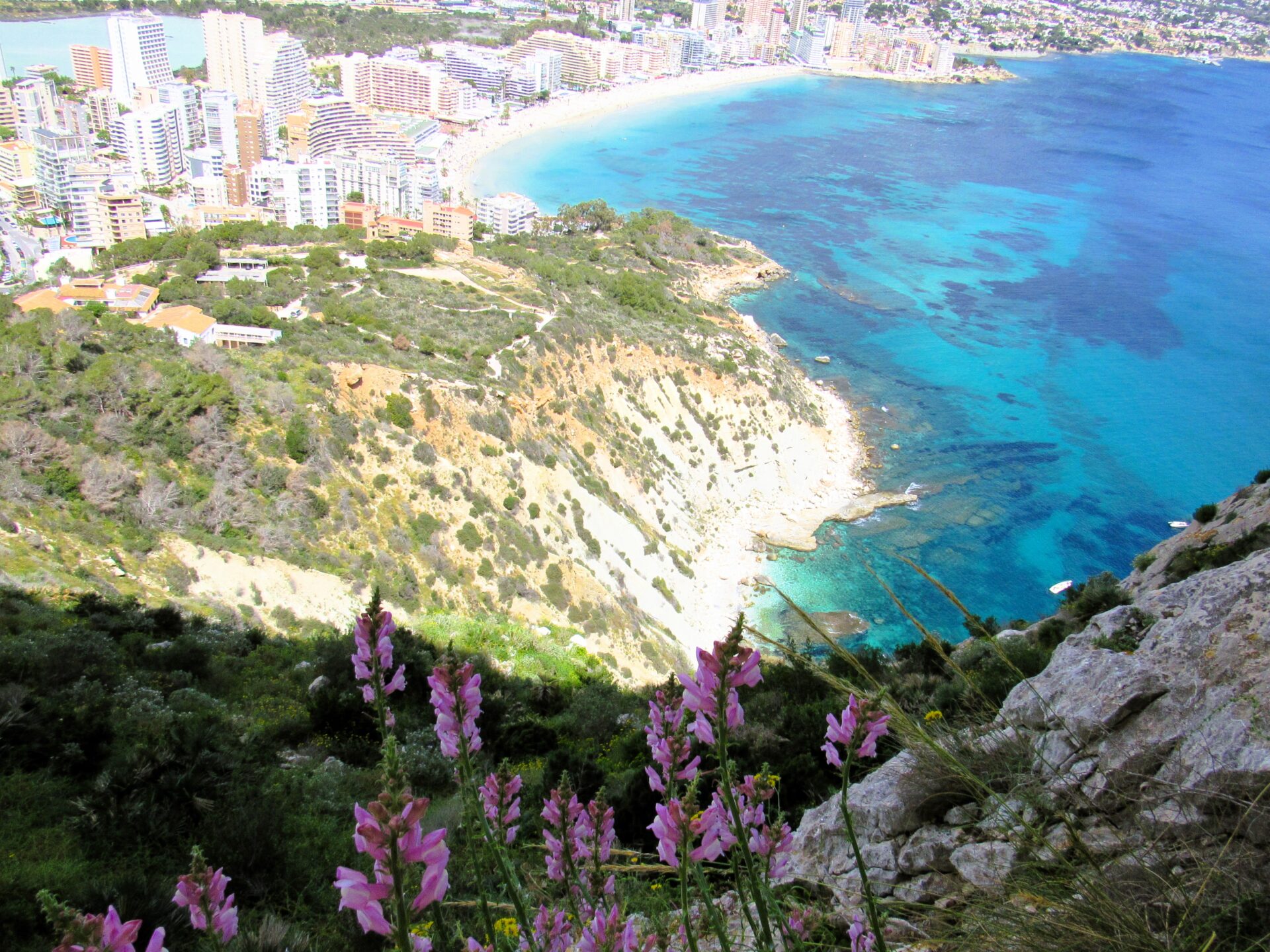 Flores Peñón de Ifach Cómo subir al Peñón de Ifach