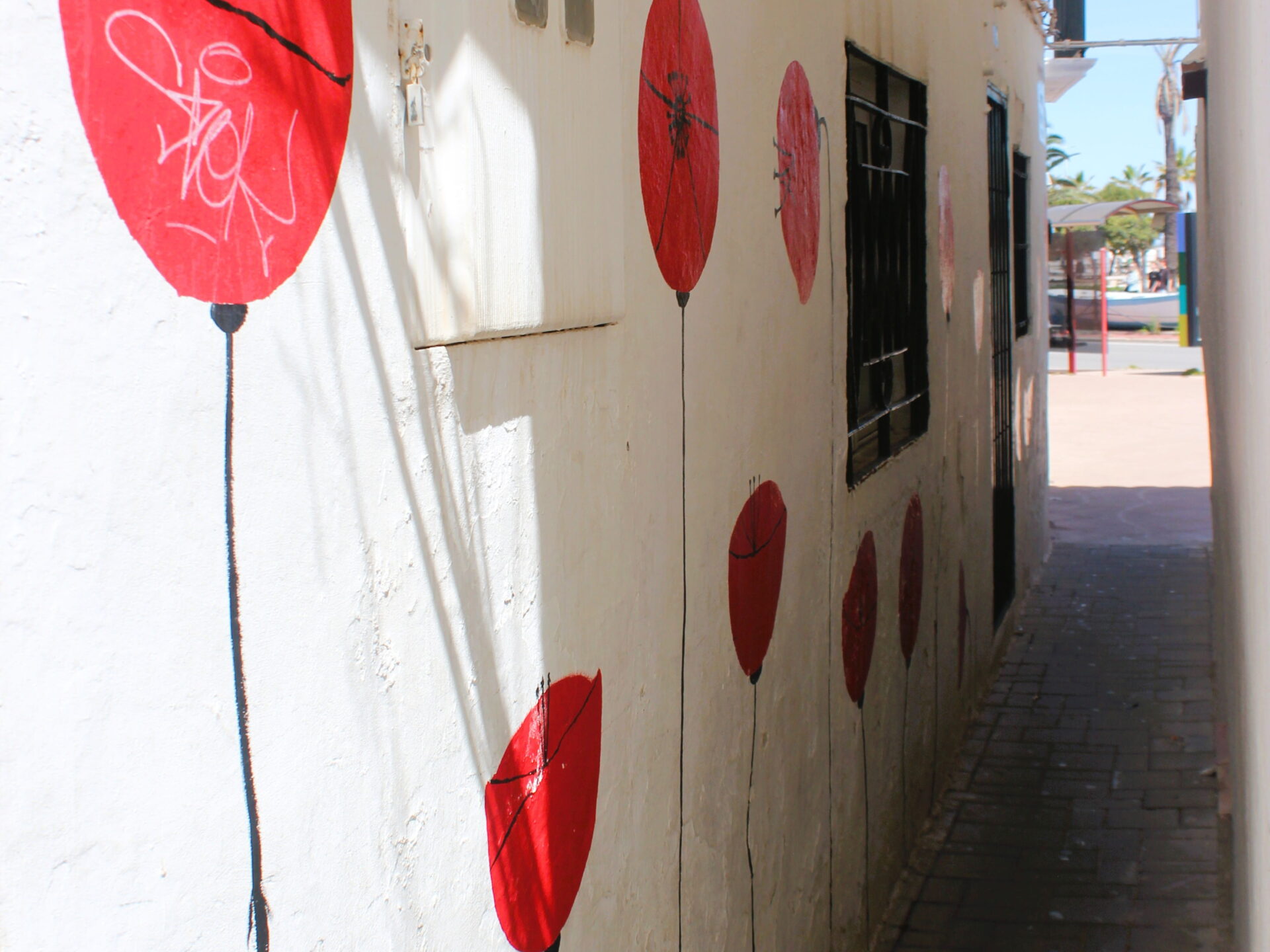 La calle con amapolas de Denia