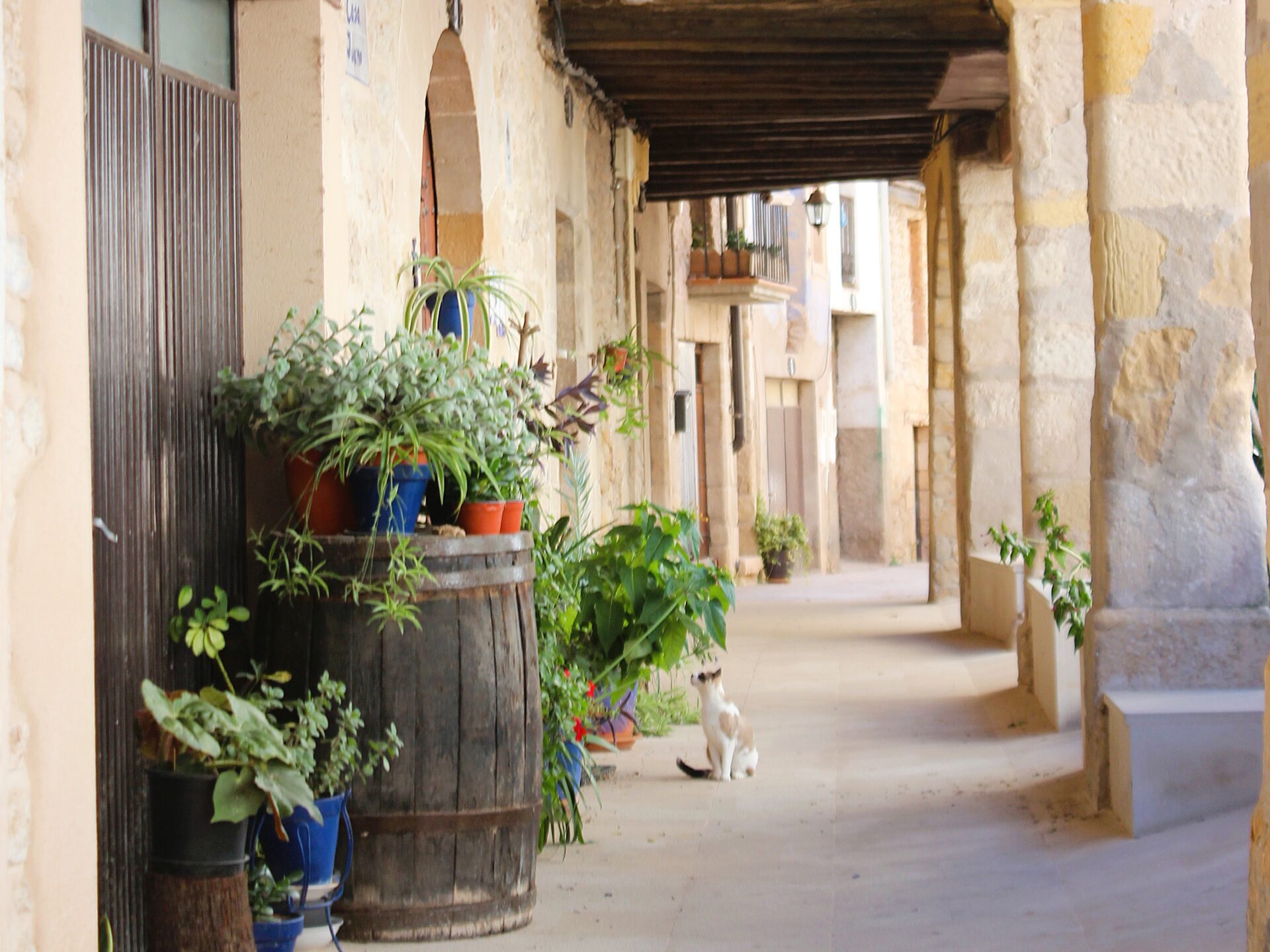 Calle porticada de Ráfales con vigas de madera y techo azul
