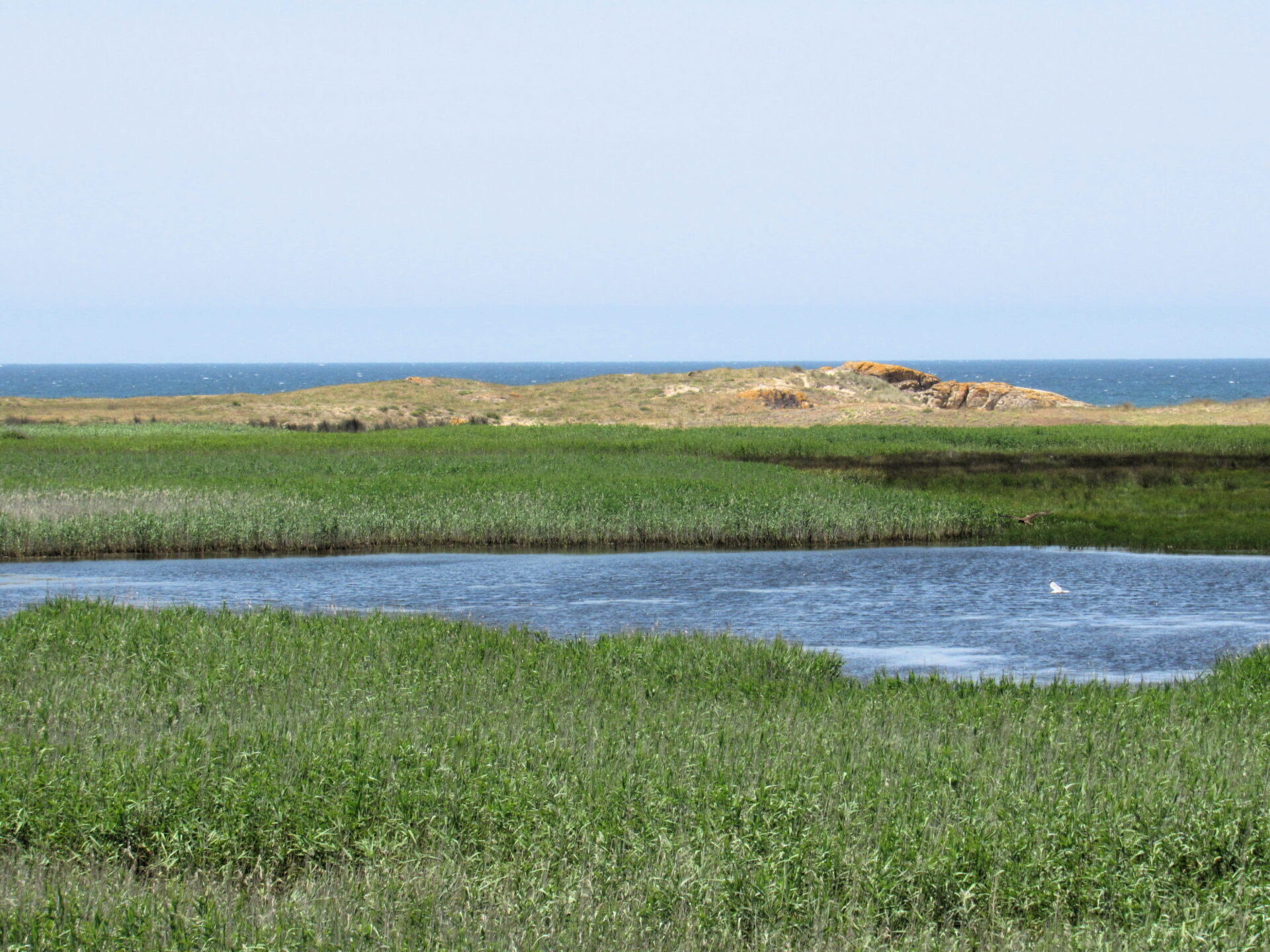 Laguna de Vixán en el Parque Natural de Corrubedo